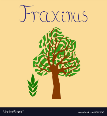 Flat stylish background plant vector image Flat stylish background plant vector image