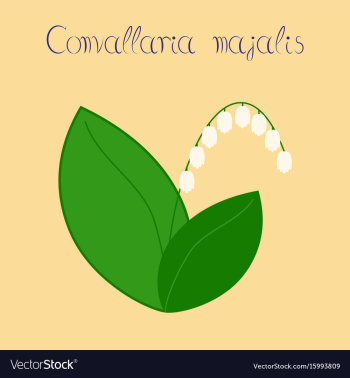 Flat stylish background plant vector image Flat stylish background plant vector image