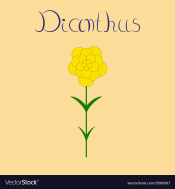 Flat stylish background plant vector image Flat stylish background plant vector image