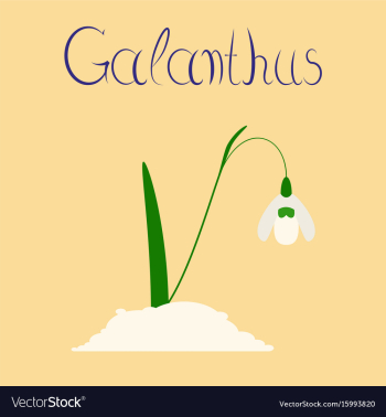 Flat stylish background plant vector image Flat stylish background plant vector image