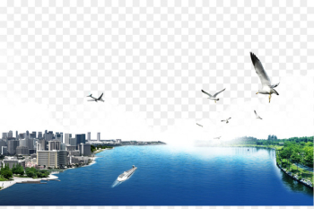 Flight Aircraft Airplane - Aircraft traces Flight Aircraft Airplane - Aircraft traces
