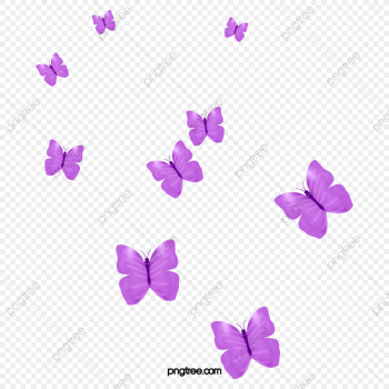 Flocks Of Purple Butterflies, In Groups, Purple, Butterfly PNG ...