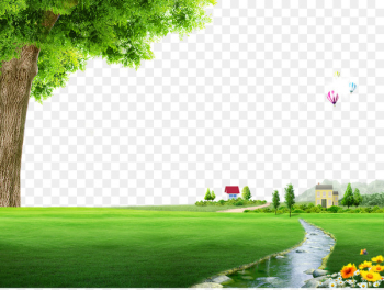 Floor Photography Nature - Spring field landscape Floor Photography Nature - Spring field landscape