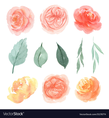 floral and leaves watercolor elements set hand