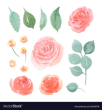 floral and leaves watercolor elements set hand