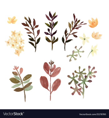 floral and leaves watercolor elements set hand