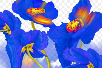 Floral background PNG, blue flower trippy… | Free stock illustration | High Resolution graphic