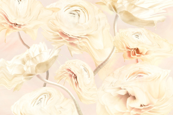 Floral background PSD, beige buttercup… | Free stock illustration | High Resolution graphic