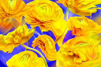 Floral background PSD, yellow buttercup… | Free stock illustration | High Resolution graphic