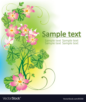 Floral background vector image Floral background vector image