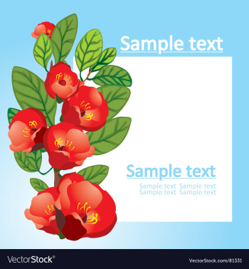 Floral background vector image Floral background vector image