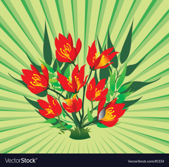 Floral background vector image Floral background vector image