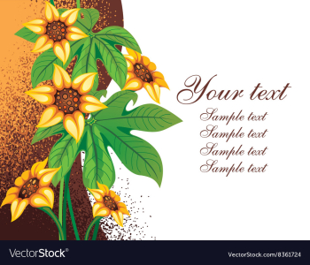 Floral Background with Text Space vector image Floral Background with Text Space vector image