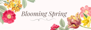 Floral banner template | Free stock vector - 564307