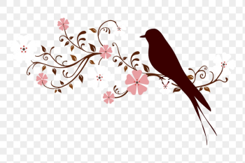 Floral bird png sticker animal | Free PNG - rawpixel Floral bird png sticker animal | Free PNG - rawpixel