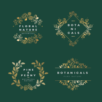 Floral botanical frame collection Floral botanical frame collection