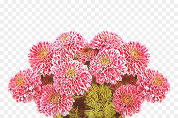 Floral design Floral design