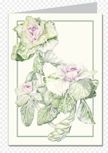 Floral design Calendar Garden roses Botany Flower - flowering kale varieties 