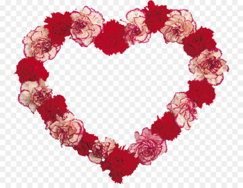 Floral Design, Carnation, Flower, Heart, Red PNG
