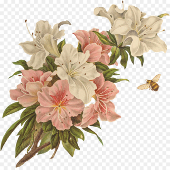 Floral design Clip art - vintage floral flower Floral design Clip art - vintage floral flower