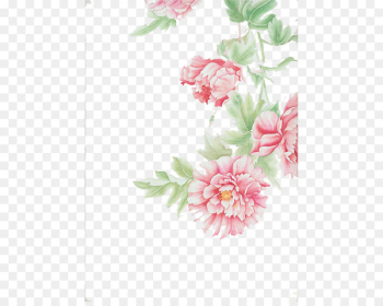 Floral design Cut flowers Centifolia roses - Floral background 