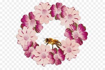 Floral Design, Cut Flowers, Chrysanthemum, Pink, Flower PNG Floral Design, Cut Flowers, Chrysanthemum, Pink, Flower PNG