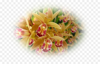 Floral design Cut flowers Flower bouquet Artificial flower - flower 
