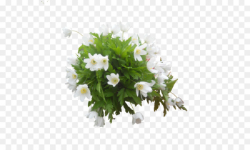Floral design Cut flowers Flower bouquet Artificial flower - flower 