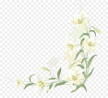 Floral design Cut flowers Image Clip art - lily border 