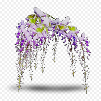 Floral design Cut flowers Purple - Floral design Cut flowers Purple -