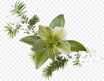 Дневник.ру Floral design - design Дневник.ру Floral design - design