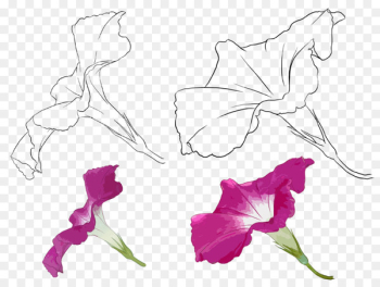 Floral design Drawing Watercolor painting - best part Floral design Drawing Watercolor painting - best part