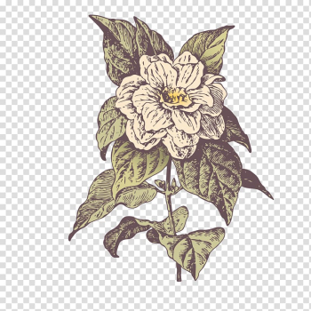 Floral design Flower, Abstract flowers background element transparent background PNG clipart