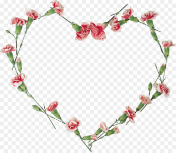Floral design Flower Clip art - carnations vector Floral design Flower Clip art - carnations vector