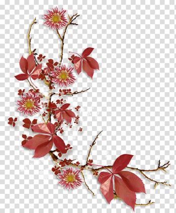 Floral design Flower Garden roses , flower transparent background PNG clipart Floral design Flower Garden roses , flower transparent background PNG clipart