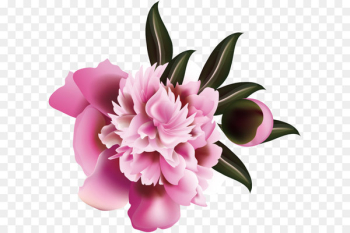 Floral design Flower Illustration - Flower pattern elements Floral design Flower Illustration - Flower pattern elements