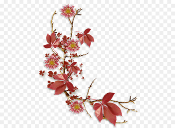 Floral design Flower Petal Rose - flower Floral design Flower Petal Rose - flower