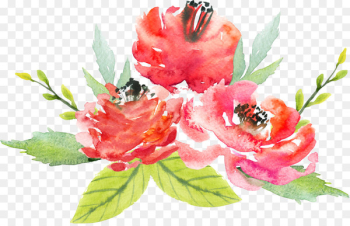 Floral design Flower Watercolor painting - Watercolor flowers 