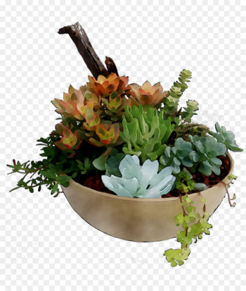Floral design Herb - Floral design Herb -