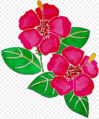 Floral design Mallows Cut flowers - Floral design Mallows Cut flowers -