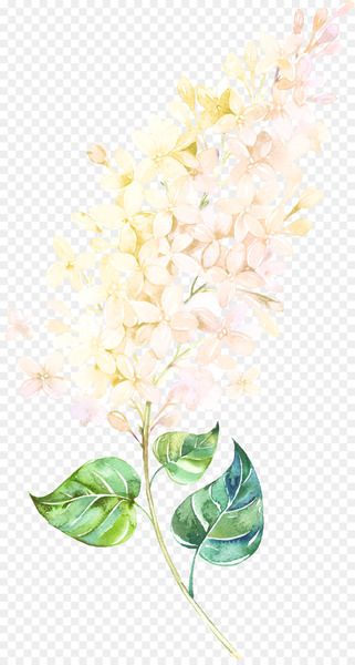 Floral design Petal Watercolor painting Lilac - Floating Flower 