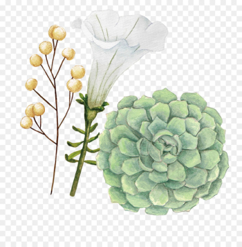 Floral design Watercolor painting Flower - Watercolor flowers 