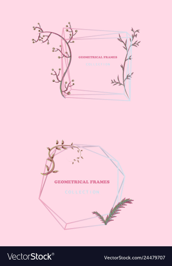 Floral elegant botanical card design with vector image Floral elegant botanical card design with vector image