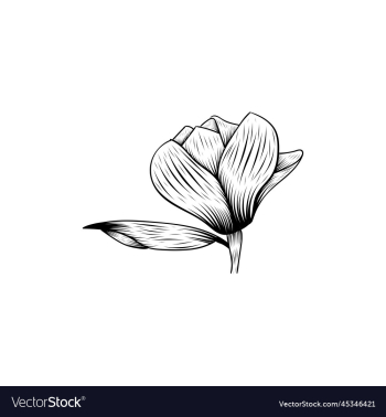 floral flower beauty lineart design