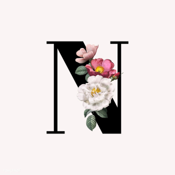 Floral letter N font | Free stock vector - 583165 Floral letter N font | Free stock vector - 583165