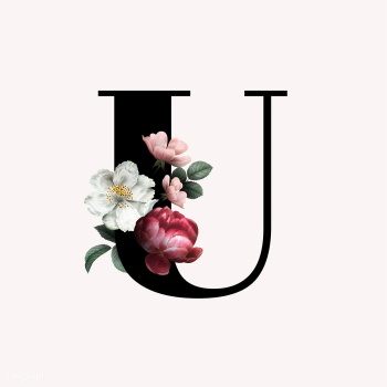 Floral letter U font | Free stock illustration - 583103 Floral letter U font | Free stock illustration - 583103