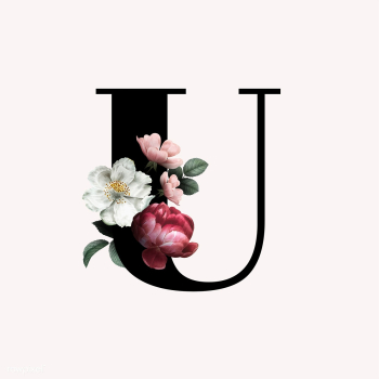 Floral letter U font | Free stock vector - 583136 Floral letter U font | Free stock vector - 583136