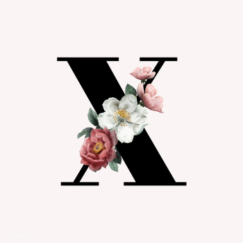 Floral letter X font | Free stock illustration - 583174 Floral letter X font | Free stock illustration - 583174