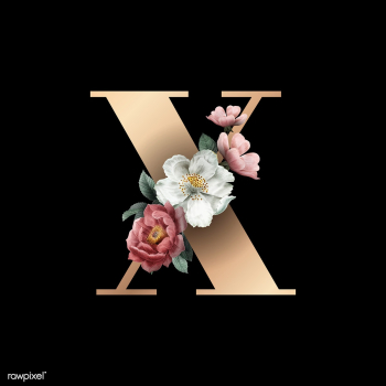 Floral letter X font | Free stock vector - 583162 Floral letter X font | Free stock vector - 583162