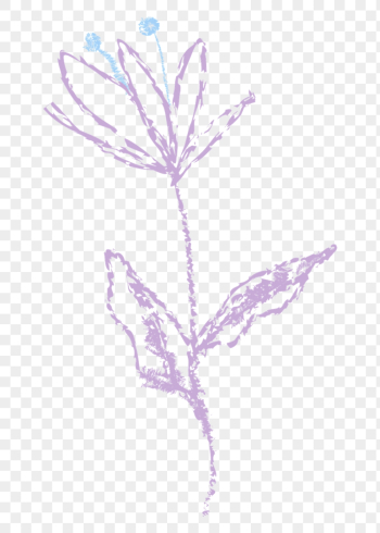 Floral line art png transparent | Free PNG Sticker - rawpixel